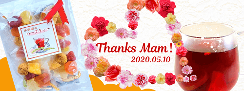 fruit_tea_mother's_day2020_500x187.png